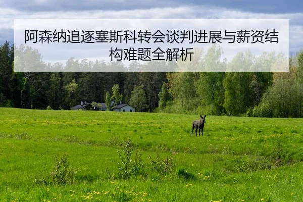 阿森纳追逐塞斯科转会谈判进展与薪资结构难题全解析